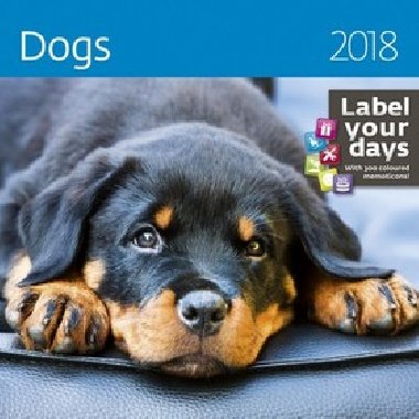 Dogs - Kalend nstnn 2018 - Helma