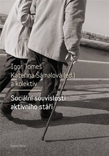 Sociln souvislosti aktivnho st - Kateina malov,Igor Tome