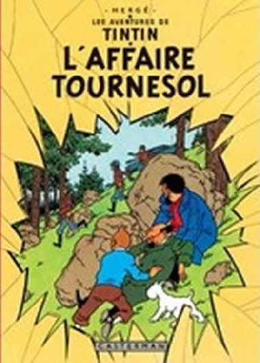 Les Aventures de Tintin: L´affaire Tournesol - Hergé