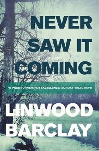 Never Saw it Coming - Barclay Linwood