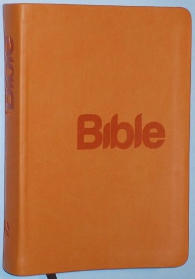 BIBLE PEKLAD 21. STOLET - 