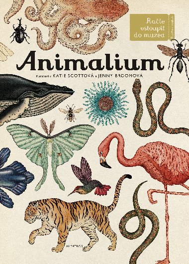 Animalium - Katie Scottov, Jenny Broomov