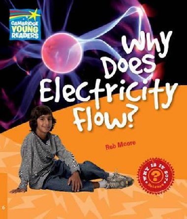 Why Does Electricity Flow? Level 6 Factbook - Moore Rob