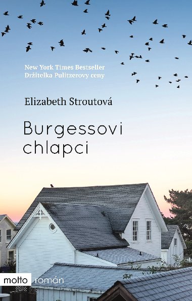 Burgessovi chlapci - Elizabeth Strout