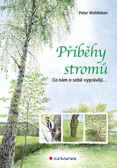Pbhy strom - Peter Wohlleben