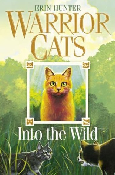 Warrior Cats: Into the Wild - Hunter Erin