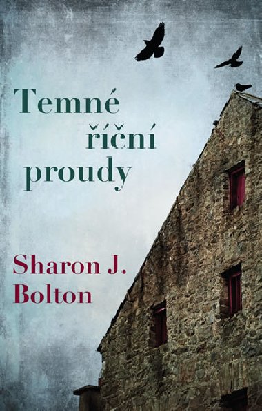Temn n proudy - Sharon J. Bolton