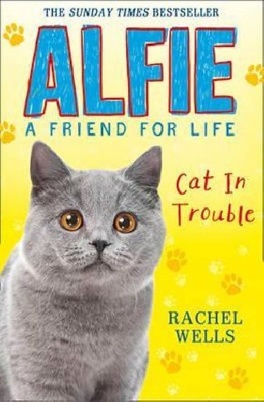 Alfie Cat in Trouble (Alfie A Friend for Life) - Rachel Wells