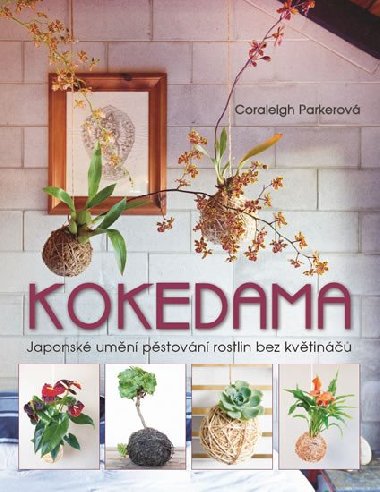 Kokedama - Japonsk umn pstovn rostlin bez kvtin - Coraleigh Parkerov