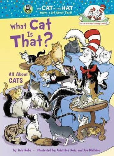 What Cat is That? All About Cats - Rabe Tish