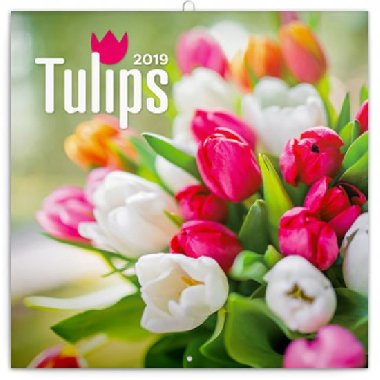 Kalend poznmkov 2019 - Tulipny, 30 x 30 cm - Presco