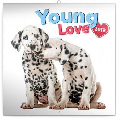 Kalend poznmkov 2019 - Young Love, 30 x 30 cm - Presco
