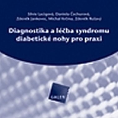 Diagnostika a lba syndromu diabetick nohy pro praxi (CD-ROM) - echurov Daniela, Krma Michal, Lacigov Silvie, Jankovec Zdenk, Ruav Zdenk