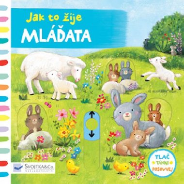 Mlata - Jak to ije - Ag Jatkowska