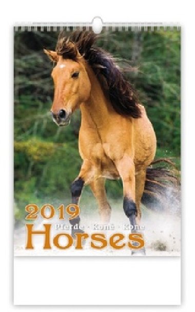 Kalend nstnn 2019 - Horses/Pferde/Kon/Kone - Helma
