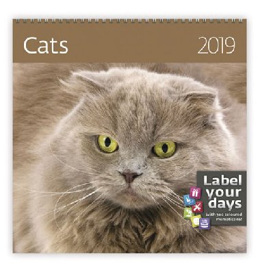 Cats - nstnn kalend 2019 - Helma