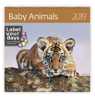 Baby Animals - nstnn kalend 2019 - Helma