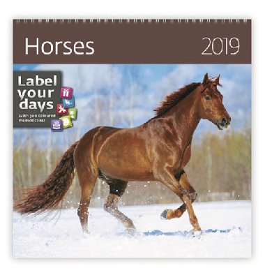 Horses - nstnn kalend 2019 - Helma
