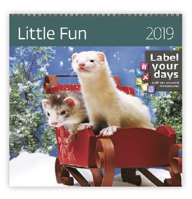 Little Fun - nstnn kalend 2019 - Helma