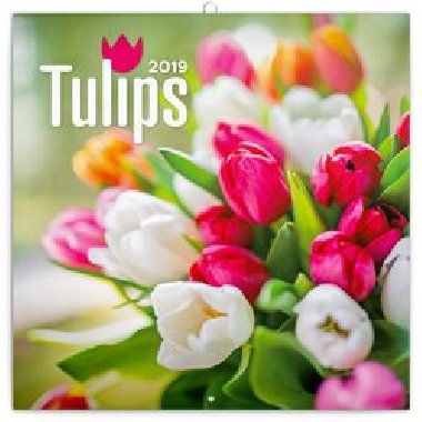 Poznmkov kalend Tulipny 2019 - 