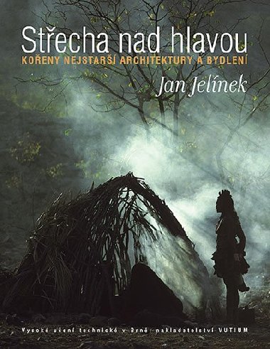 Střecha nad hlavou - Jan Jelínek