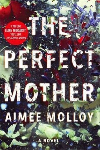 Perfect Mother - Molloy Aimee