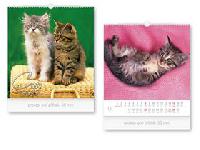 Mal Cats - nstnn kalend 2019 - MFP Paper