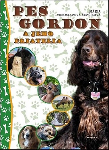 Pes Gordon a jeho priatelia - Mria evkov-Vrkoslavov