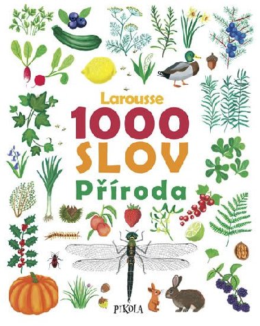 1000 slov - Proda - Pikola