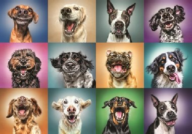 Vesel ps portrty: Puzzle 1000 dlk - neuveden