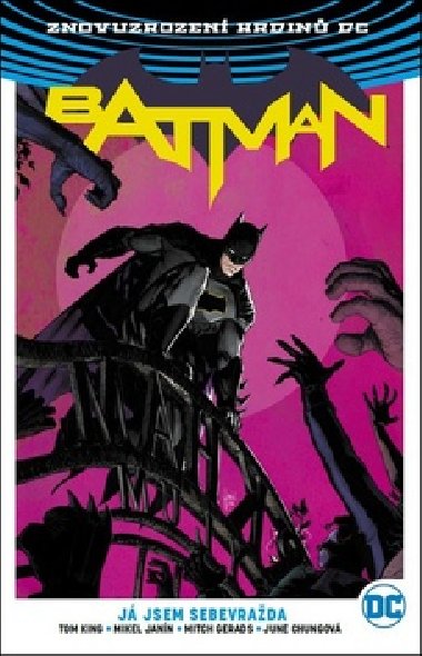 Batman J jsem sebevrada - Tom King; David Finch