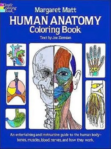 Human Anatomy: Coloring Book - Matt Margaret