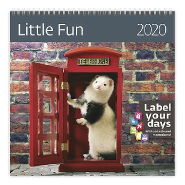 Little Fun - nstnn kalend 2020 - Helma