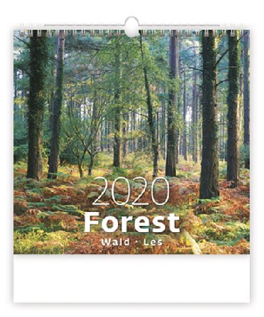 Forest/Wald/Les - nstnn kalend 2020 - Helma
