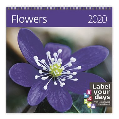 Flowers - nstnn kalend 2020 - Helma