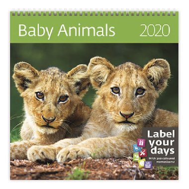Baby Animals - nstnn kalend 2020 - Helma