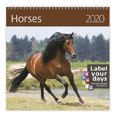 Horses - nstnn kalend 2020 - Helma