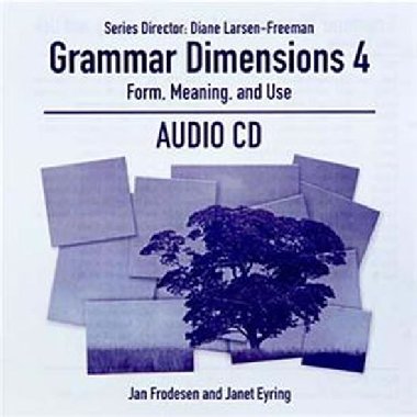 Grammar Dimensions: Form, Meaning and Use 4 Audio CD - Eyring Janet