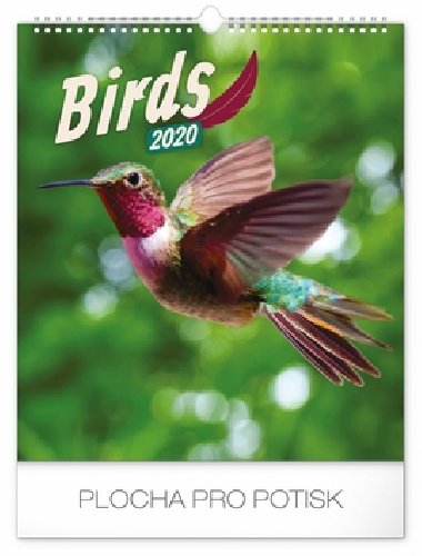 Kalend nstnn 2020 - Ptci, 30  34 cm - Presco
