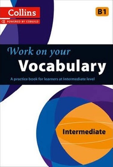 Work on your Vocabulary B1 Intermediate - kolektiv autor