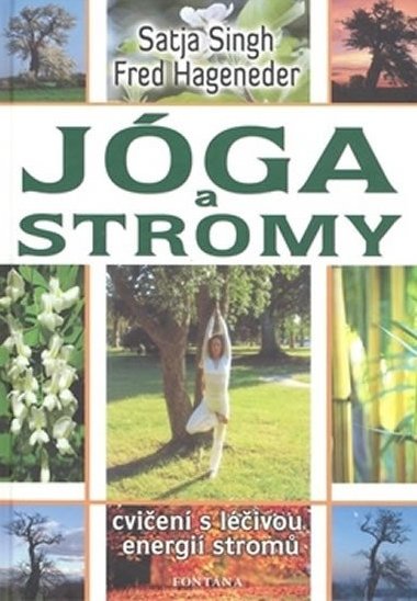 JGA A STROMY - Satja Singh; Fred Hageneder