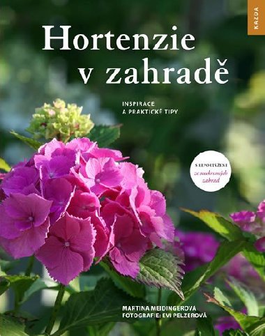 Hortenzie v zahrad - Inspirace a praktick tipy - Martina Meidingerov