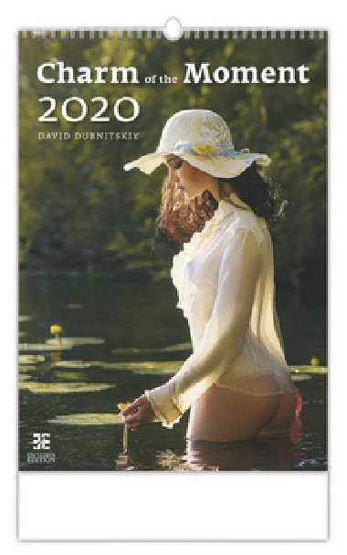 Kalend nstnn 2020 - Charm of the Moments - neuveden