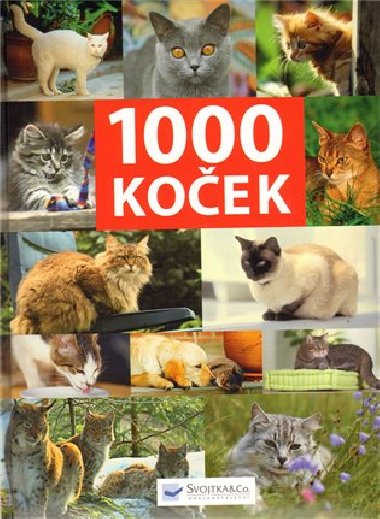 1000 KOEK - neuveden
