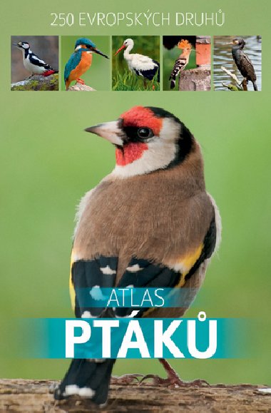 Atlas ptk - Bookmedia