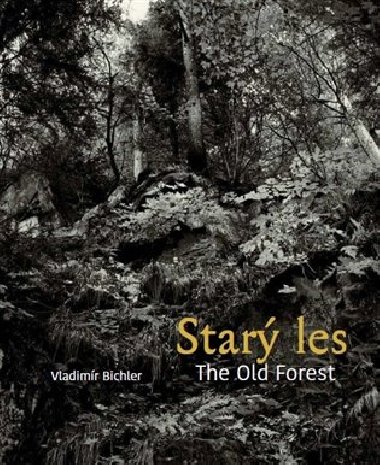 Star les / The Old Forest - Vladimr Bichler