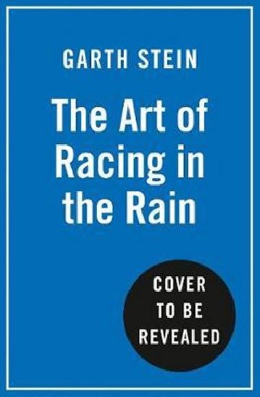 ART OF RACING IN RAIN PB - neuveden