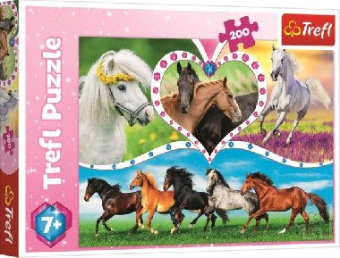 Puzzle Krásní koně