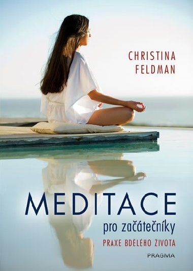 Meditace pro zatenky - Praxe bdlho ivota - Christine Feldman