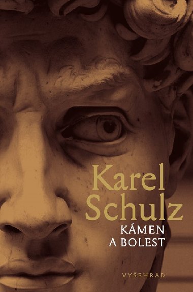 Kmen a bolest - Schulz Karel